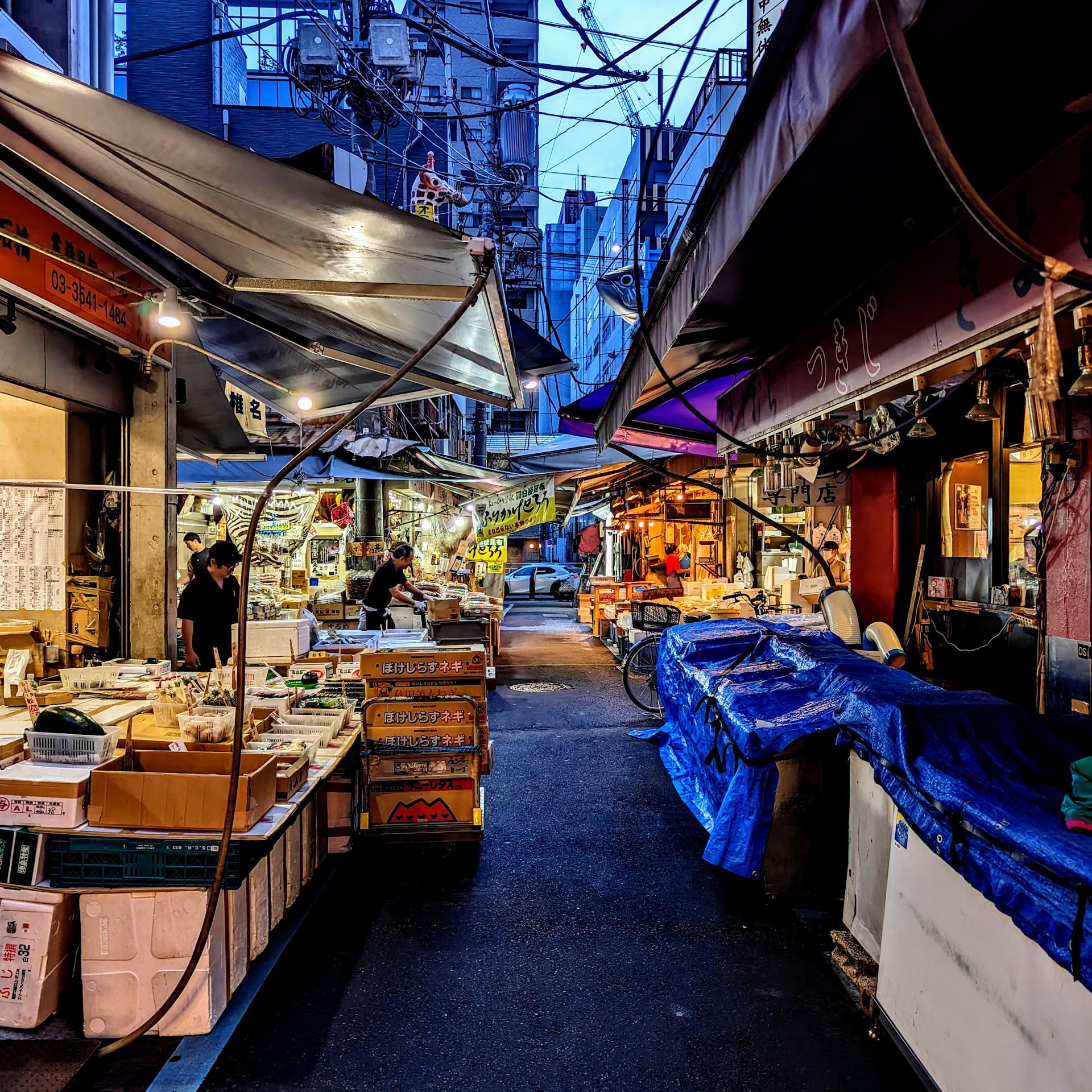 Tsukiji a pie de calle: una jornada de sabor en Tokio